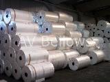 Glass Fiber Filter Paper